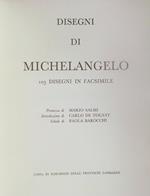 Disegni di Michelangelo. 103 disegni in facsimile 