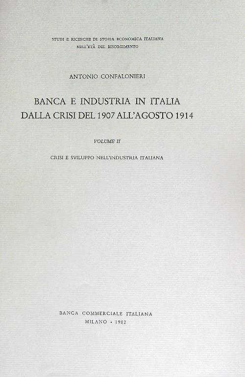 Banca e industria in Italia dalla crisi del 1907 all'agosto 1914. Volume secondo