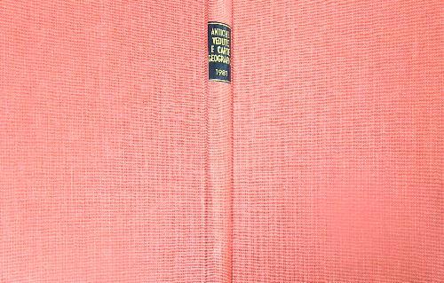 Antiche vedute e carte geografiche 1981 - copertina