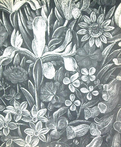 Paradeisos. Dall'universo del fiore - Alberto Veca - copertina