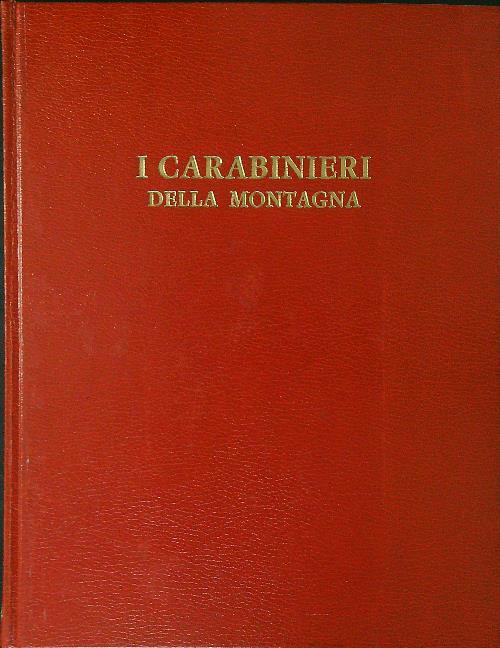 I carabinieri della montagna