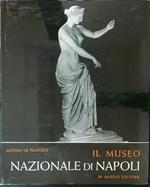 Il  museo nazionale di Napoli