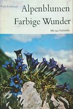 Alpenblumen farbige Wunder
