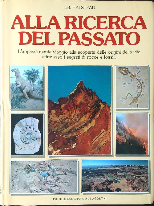 LIBRACCIO VINTAGE