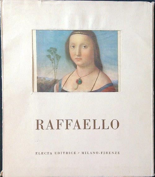 Raffaello. 8 ritratti