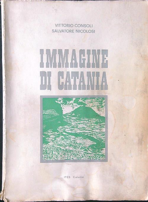 Immagine di Catania - Consoli - copertina