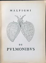 De pulmonibus