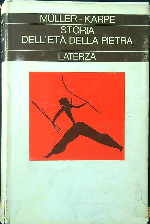 Storia dell'età della pietra