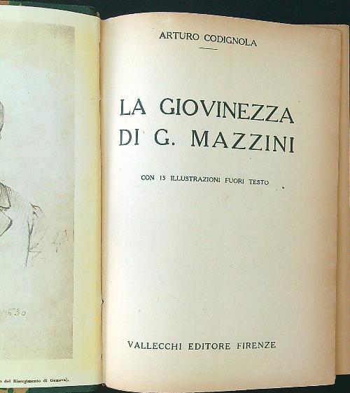 La giovinezza di G. Mazzini