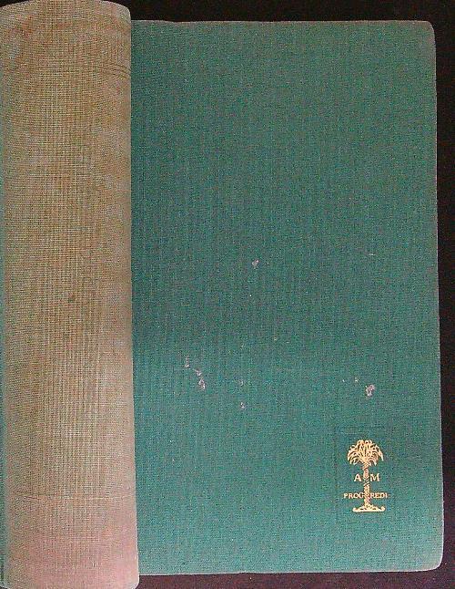 Davide Copperfield - Carlo Dickens - copertina