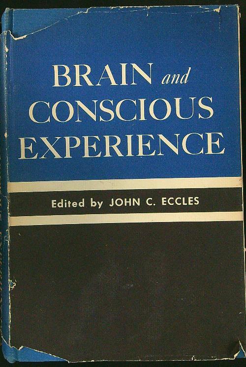 Brain and conscious experience