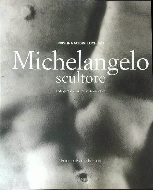 Michelangelo scultore