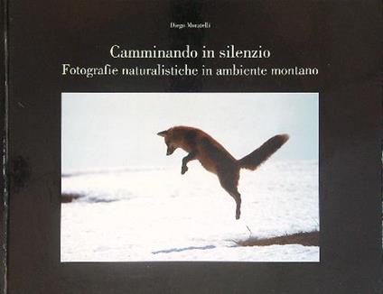 Camminando in silenzio  - Diego Moratelli - copertina