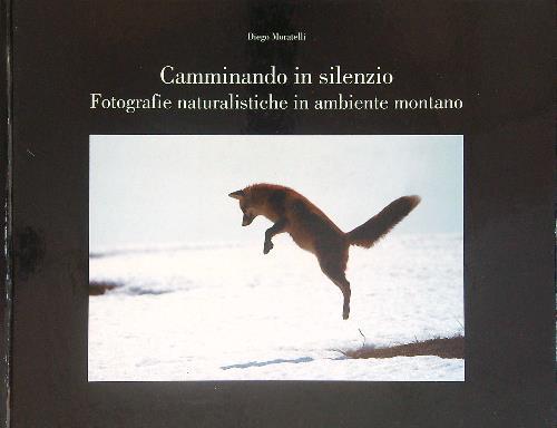 Camminando in silenzio  - Diego Moratelli - copertina