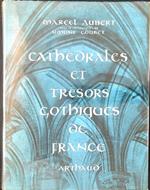 Cathedrales et tresors gothiques de France