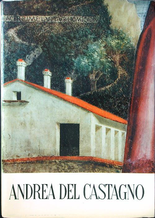 Andrea del Castagno - Mario Salmi - copertina