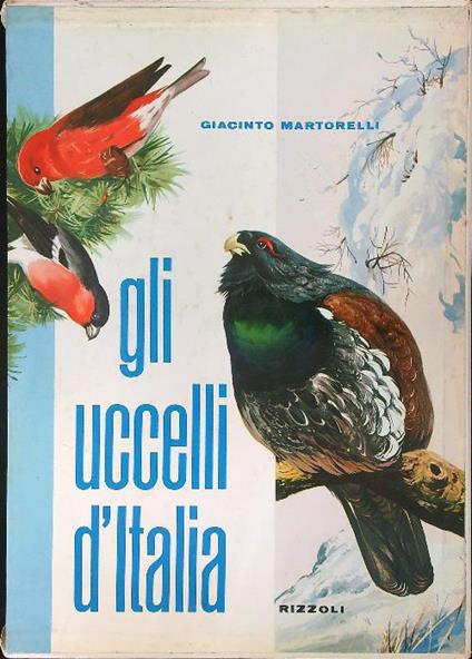 Gli  uccelli d'Italia - Giacinto Martorelli - copertina