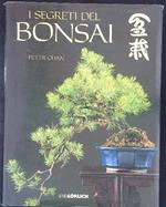 I  segreti del bonsai