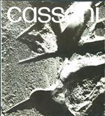 Nino Cassani