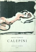 Calepini