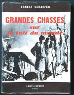Grand chasses sur le toit du monde