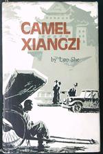 Camel Xiangzi