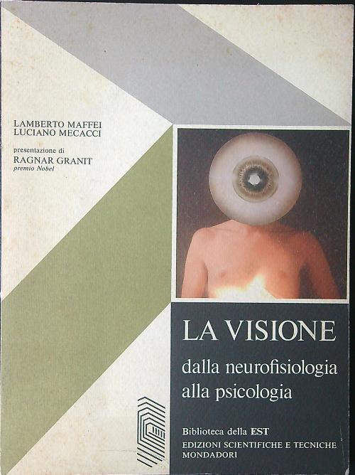 La  visione  - Maffei - copertina