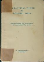 Practical guide to integral yoga