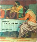 Andrea Del Sarto