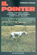 Il pointer 