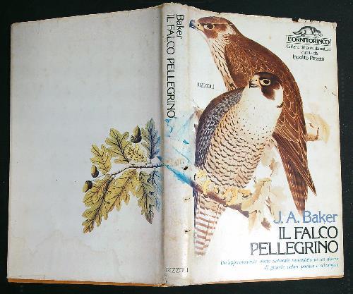 Il falco pellegrino  - J.A Baker - copertina