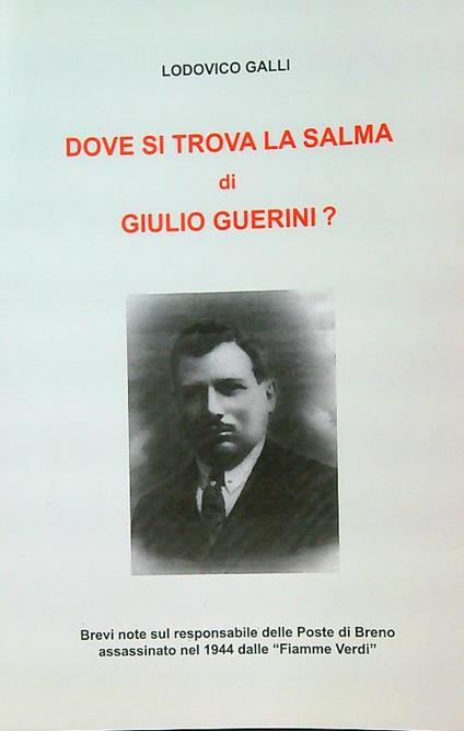 Dove si trova la salma di Giulio Guerini ? - Lodovico Galli - copertina