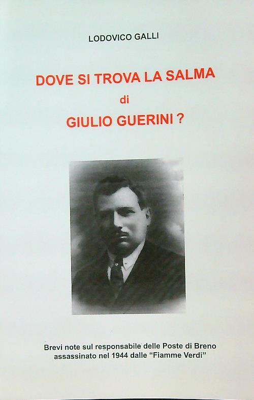 Dove si trova la salma di Giulio Guerini ? - Lodovico Galli - copertina