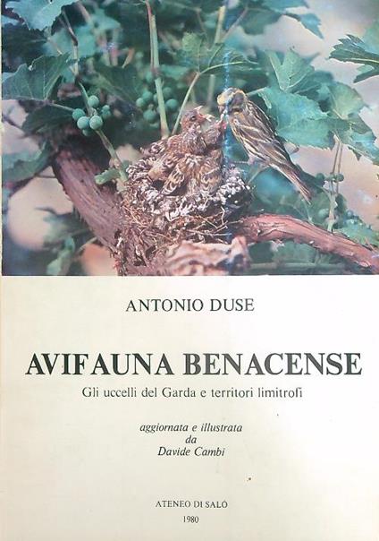 Avifauna Benacense   - Antonio Duse - copertina