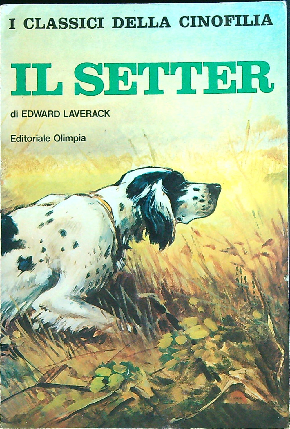 LIBRACCIO VINTAGE