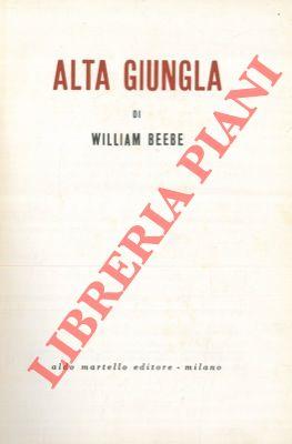 Alta giungla