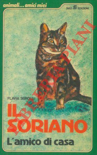 Libreria Piani