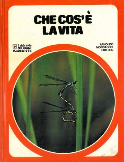 Che cos'é la vita - copertina