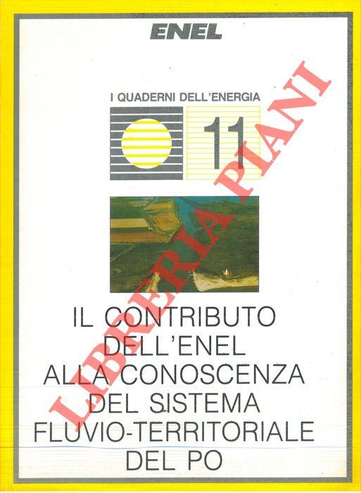 Il contributo dell'Enel alla conoscenza del sistema fluvio-territoriale del Po