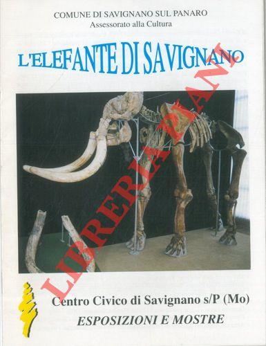 Libreria Piani