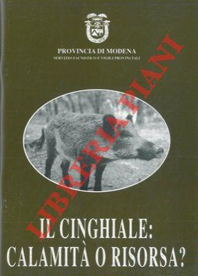 Libreria Piani
