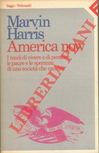 America now. I modi di vivere e di pensare, le paure e le speranze di una società che cambia