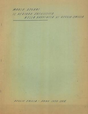 Il periodo eneolitico nella Provincia di Reggio Emilia - Marco Degani - copertina