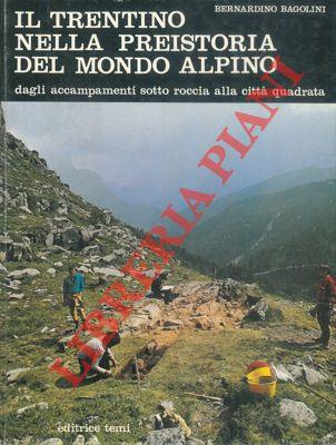 Il Trentino nella preistoria del mondo alpino. Dagli accampamenti sotto roccia alla città quadrata