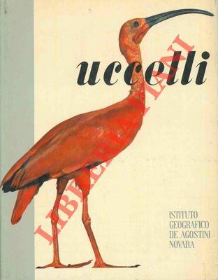 Uccelli