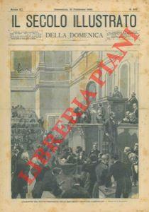 Libreria Piani