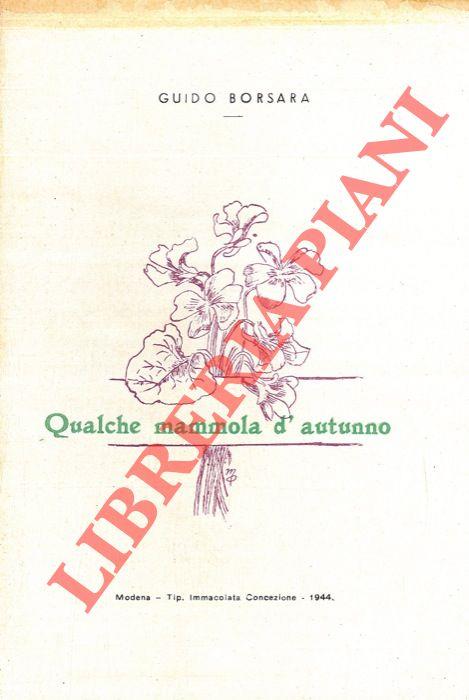 Libreria Piani