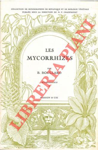Le mycorrhizes