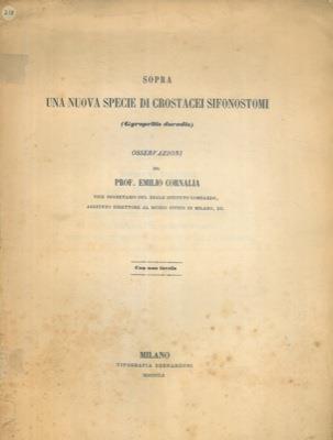 Sopra una nuova specie di crostacei sifonostomi (Gyropeltis doradis) - Emilio Cornalia - copertina