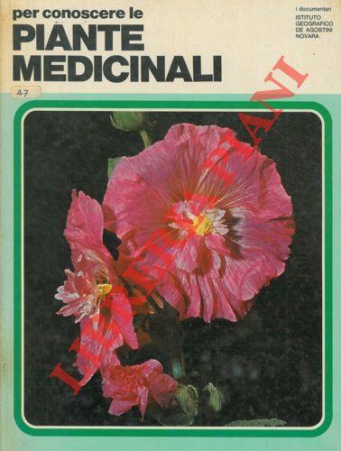 Libreria Piani